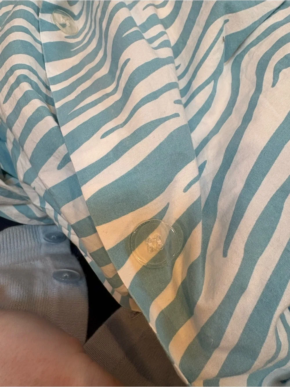 Pottery Barn Teen Y2K Blue Zebra Print Cotton Duvet Cover Full / Queen